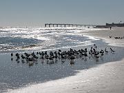 St. Augustine - Jan 2012 088